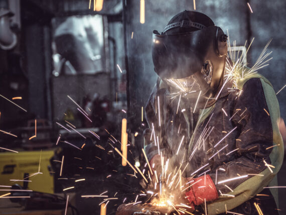 Knowledge becomes a valued form of capital